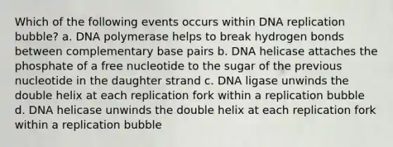 Which of the following events occurs within DNA replication bubble? a. DNA polymerase helps to break hydrogen bonds between complementary base pairs b. DNA helicase attaches the phosphate of a free nucleotide to the sugar of the previous nucleotide in the daughter strand c. DNA ligase unwinds the double helix at each replication fork within a replication bubble d. DNA helicase unwinds the double helix at each replication fork within a replication bubble