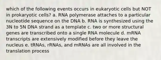 which of the following events occurs in eukaryotic cells but NOT in prokaryotic cells? a. RNA polymerase attaches to a particular nucleotide sequence on the DNA b. RNA is synthesized using the 3N to 5N DNA strand as a template c. two or more structural genes are transcribed onto a single RNA molecule d. mRNA transcripts are extensively modified before they leave the nucleus e. tRNAs, rRNAs, and mRNAs are all involved in the translation process