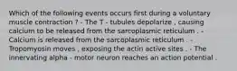 Which of the following events occurs first during a voluntary muscle contraction ? - The T - tubules depolarize , causing calcium to be released from the sarcoplasmic reticulum . - Calcium is released from the sarcoplasmic reticulum . - Tropomyosin moves , exposing the actin active sites . - The innervating alpha - motor neuron reaches an action potential .