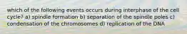 which of the following events occurs during interphase of the cell cycle? a) spindle formation b) separation of the spindle poles c) condensation of the chromosomes d) replication of the DNA