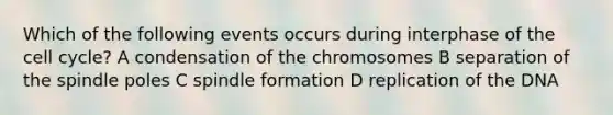 Which of the following events occurs during interphase of the cell cycle? A condensation of the chromosomes B separation of the spindle poles C spindle formation D replication of the DNA