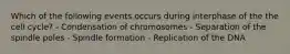 Which of the following events occurs during interphase of the the cell cycle? - Condensation of chromosomes - Separation of the spindle poles - Spindle formation - Replication of the DNA