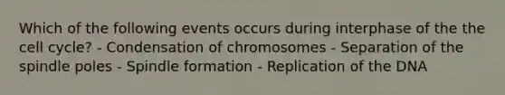 Which of the following events occurs during interphase of the the <a href='https://www.questionai.com/knowledge/keQNMM7c75-cell-cycle' class='anchor-knowledge'>cell cycle</a>? - Condensation of chromosomes - Separation of the spindle poles - Spindle formation - Replication of the DNA