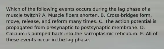 Which of the following events occurs during the lag phase of a muscle twitch? A. Muscle fibers shorten. B. Cross-bridges form, move, release, and reform many times. C. The action potential is propagated from presynaptic to postsynaptic membrane. D. Calcium is pumped back into the sarcoplasmic reticulum. E. All of these events occur in the lag phase.