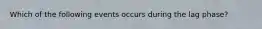 Which of the following events occurs during the lag phase?