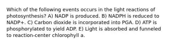 Which of the following events occurs in the light reactions of photosynthesis? A) NADP is produced. B) NADPH is reduced to NADP+. C) Carbon dioxide is incorporated into PGA. D) ATP is phosphorylated to yield ADP. E) Light is absorbed and funneled to reaction-center chlorophyll a.