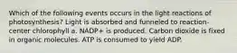 Which of the following events occurs in the light reactions of photosynthesis? Light is absorbed and funneled to reaction-center chlorophyll a. NADP+ is produced. Carbon dioxide is fixed in organic molecules. ATP is consumed to yield ADP.