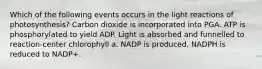 Which of the following events occurs in the light reactions of photosynthesis? Carbon dioxide is incorporated into PGA. ATP is phosphorylated to yield ADP. Light is absorbed and funnelled to reaction-center chlorophyll a. NADP is produced. NADPH is reduced to NADP+.