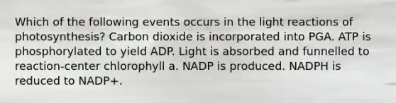 Which of the following events occurs in the light reactions of photosynthesis? Carbon dioxide is incorporated into PGA. ATP is phosphorylated to yield ADP. Light is absorbed and funnelled to reaction-center chlorophyll a. NADP is produced. NADPH is reduced to NADP+.