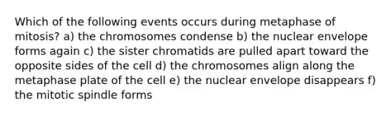 Which of the following events occurs during metaphase of mitosis? a) the chromosomes condense b) the nuclear envelope forms again c) the sister chromatids are pulled apart toward the opposite sides of the cell d) the chromosomes align along the metaphase plate of the cell e) the nuclear envelope disappears f) the mitotic spindle forms