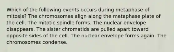 Which of the following events occurs during metaphase of mitosis? The chromosomes align along the metaphase plate of the cell. The mitotic spindle forms. The nuclear envelope disappears. The sister chromatids are pulled apart toward opposite sides of the cell. The nuclear envelope forms again. The chromosomes condense.