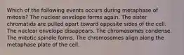 Which of the following events occurs during metaphase of mitosis? The nuclear envelope forms again. The sister chromatids are pulled apart toward opposite sides of the cell. The nuclear envelope disappears. The chromosomes condense. The mitotic spindle forms. The chromosomes align along the metaphase plate of the cell.