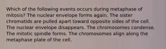 Which of the following events occurs during metaphase of mitosis? The nuclear envelope forms again. The sister chromatids are pulled apart toward opposite sides of the cell. The nuclear envelope disappears. The chromosomes condense. The mitotic spindle forms. The chromosomes align along the metaphase plate of the cell.