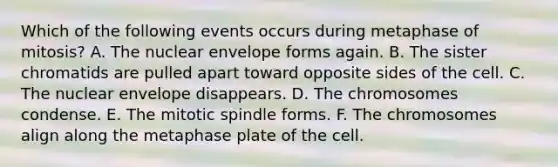 Which of the following events occurs during metaphase of mitosis? A. The nuclear envelope forms again. B. The sister chromatids are pulled apart toward opposite sides of the cell. C. The nuclear envelope disappears. D. The chromosomes condense. E. The mitotic spindle forms. F. The chromosomes align along the metaphase plate of the cell.