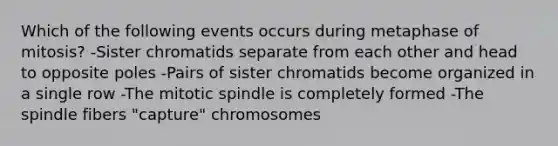 Which of the following events occurs during metaphase of mitosis? -Sister chromatids separate from each other and head to opposite poles -Pairs of sister chromatids become organized in a single row -The mitotic spindle is completely formed -The spindle fibers "capture" chromosomes