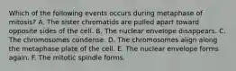 Which of the following events occurs during metaphase of mitosis? A. The sister chromatids are pulled apart toward opposite sides of the cell. B. The nuclear envelope disappears. C. The chromosomes condense. D. The chromosomes align along the metaphase plate of the cell. E. The nuclear envelope forms again. F. The mitotic spindle forms.