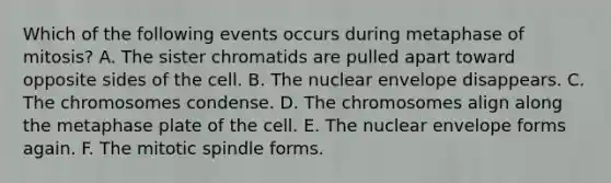 Which of the following events occurs during metaphase of mitosis? A. The sister chromatids are pulled apart toward opposite sides of the cell. B. The nuclear envelope disappears. C. The chromosomes condense. D. The chromosomes align along the metaphase plate of the cell. E. The nuclear envelope forms again. F. The mitotic spindle forms.