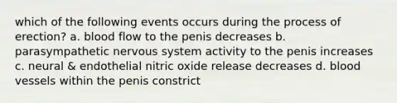 which of the following events occurs during the process of erection? a. blood flow to the penis decreases b. parasympathetic nervous system activity to the penis increases c. neural & endothelial nitric oxide release decreases d. blood vessels within the penis constrict