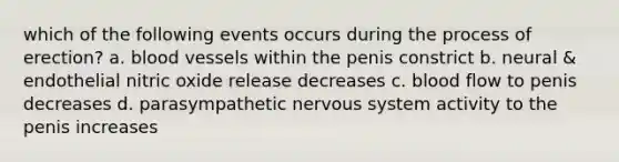 which of the following events occurs during the process of erection? a. blood vessels within the penis constrict b. neural & endothelial nitric oxide release decreases c. blood flow to penis decreases d. parasympathetic nervous system activity to the penis increases