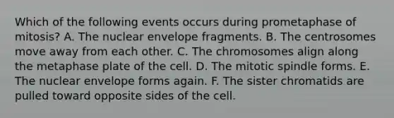 Which of the following events occurs during prometaphase of mitosis? A. The nuclear envelope fragments. B. The centrosomes move away from each other. C. The chromosomes align along the metaphase plate of the cell. D. The mitotic spindle forms. E. The nuclear envelope forms again. F. The sister chromatids are pulled toward opposite sides of the cell.