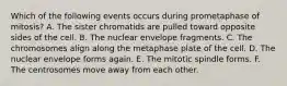 Which of the following events occurs during prometaphase of mitosis? A. The sister chromatids are pulled toward opposite sides of the cell. B. The nuclear envelope fragments. C. The chromosomes align along the metaphase plate of the cell. D. The nuclear envelope forms again. E. The mitotic spindle forms. F. The centrosomes move away from each other.