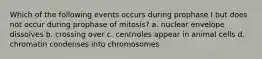 Which of the following events occurs during prophase I but does not occur during prophase of mitosis? a. nuclear envelope dissolves b. crossing over c. centrioles appear in animal cells d. chromatin condenses into chromosomes