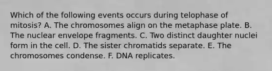 Which of the following events occurs during telophase of mitosis? A. The chromosomes align on the metaphase plate. B. The nuclear envelope fragments. C. Two distinct daughter nuclei form in the cell. D. The sister chromatids separate. E. The chromosomes condense. F. DNA replicates.