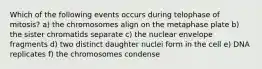 Which of the following events occurs during telophase of mitosis? a) the chromosomes align on the metaphase plate b) the sister chromatids separate c) the nuclear envelope fragments d) two distinct daughter nuclei form in the cell e) DNA replicates f) the chromosomes condense