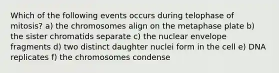 Which of the following events occurs during telophase of mitosis? a) the chromosomes align on the metaphase plate b) the sister chromatids separate c) the nuclear envelope fragments d) two distinct daughter nuclei form in the cell e) DNA replicates f) the chromosomes condense