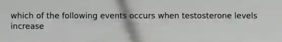 which of the following events occurs when testosterone levels increase