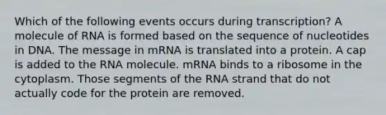 Which of the following events occurs during transcription? A molecule of RNA is formed based on the sequence of nucleotides in DNA. The message in mRNA is translated into a protein. A cap is added to the RNA molecule. mRNA binds to a ribosome in the cytoplasm. Those segments of the RNA strand that do not actually code for the protein are removed.