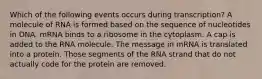 Which of the following events occurs during transcription? A molecule of RNA is formed based on the sequence of nucleotides in DNA. mRNA binds to a ribosome in the cytoplasm. A cap is added to the RNA molecule. The message in mRNA is translated into a protein. Those segments of the RNA strand that do not actually code for the protein are removed.