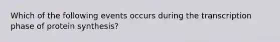 Which of the following events occurs during the transcription phase of protein synthesis?