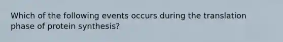 Which of the following events occurs during the translation phase of protein synthesis?