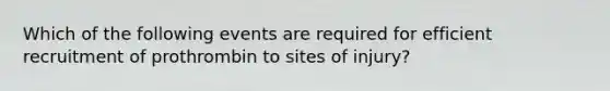 Which of the following events are required for efficient recruitment of prothrombin to sites of injury?
