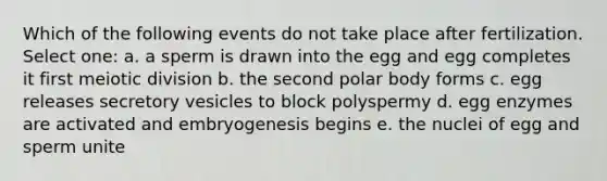 Which of the following events do not take place after fertilization. Select one: a. a sperm is drawn into the egg and egg completes it first meiotic division b. the second polar body forms c. egg releases secretory vesicles to block polyspermy d. egg enzymes are activated and embryogenesis begins e. the nuclei of egg and sperm unite