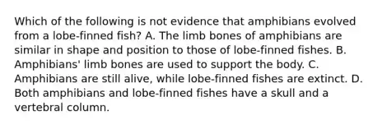 Which of the following is not evidence that amphibians evolved from a lobe-finned fish? A. The limb bones of amphibians are similar in shape and position to those of lobe-finned fishes. B. Amphibians' limb bones are used to support the body. C. Amphibians are still alive, while lobe-finned fishes are extinct. D. Both amphibians and lobe-finned fishes have a skull and a <a href='https://www.questionai.com/knowledge/ki4fsP39zf-vertebral-column' class='anchor-knowledge'>vertebral column</a>.