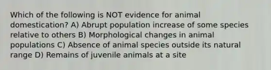 Which of the following is NOT evidence for animal domestication? A) Abrupt population increase of some species relative to others B) Morphological changes in animal populations C) Absence of animal species outside its natural range D) Remains of juvenile animals at a site