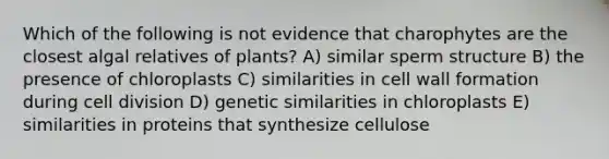 Which of the following is not evidence that charophytes are the closest algal relatives of plants? A) similar sperm structure B) the presence of chloroplasts C) similarities in cell wall formation during <a href='https://www.questionai.com/knowledge/kjHVAH8Me4-cell-division' class='anchor-knowledge'>cell division</a> D) genetic similarities in chloroplasts E) similarities in proteins that synthesize cellulose