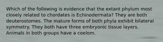 Which of the following is evidence that the extant phylum most closely related to chordates is Echinodermata? They are both deuterostomes. The mature forms of both phyla exhibit bilateral symmetry. They both have three embryonic tissue layers. Animals in both groups have a coelom.