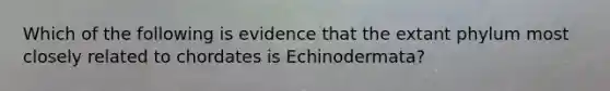 Which of the following is evidence that the extant phylum most closely related to chordates is Echinodermata?