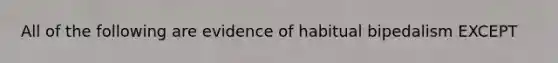 All of the following are evidence of habitual bipedalism EXCEPT