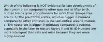 Which of the following is NOT evidence for late development of the human brain compared to other species? a) After birth, human brains grow proportionally far more than chimpanzee brains. b) The pre-frontal cortex, which is bigger in humans compared to other primates, is the last cortical area to mature. c) The neocortex is bigger in primates compared to rodents, especially in the later to mature layers II and III. d) Humans are more intelligent than rats and mice because they are more highly evolved.