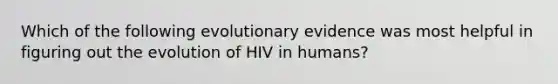 Which of the following evolutionary evidence was most helpful in figuring out the evolution of HIV in humans?