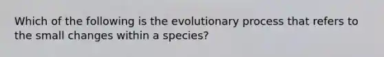 Which of the following is the evolutionary process that refers to the small changes within a species?