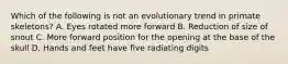 Which of the following is not an evolutionary trend in primate skeletons? A. Eyes rotated more forward B. Reduction of size of snout C. More forward position for the opening at the base of the skull D. Hands and feet have five radiating digits