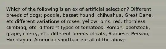 Which of the following is an ex of artificial selection? Different breeds of dogs; poodle, basset hound, chihuahua, Great Dane, etc different variations of roses; yellow, pink, red, thornless, climbing, etc. different types of tomatoes; Roman, beefsteak, grape, cherry, etc. different breeds of cats; Siamese, Persian, Himalayan, American shorthair etc all of the above