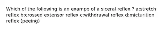 Which of the following is an exampe of a siceral reflex ? a:stretch reflex b:crossed extensor reflex c:withdrawal reflex d:micturition reflex (peeing)