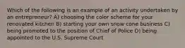 Which of the following is an example of an activity undertaken by an entrepreneur? A) choosing the color scheme for your renovated kitchen B) starting your own snow cone business C) being promoted to the position of Chief of Police D) being appointed to the U.S. Supreme Court