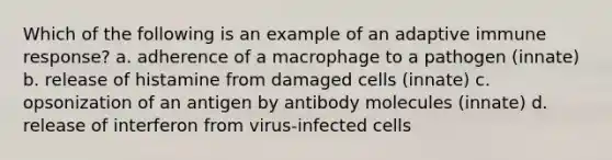 Which of the following is an example of an adaptive immune response? a. adherence of a macrophage to a pathogen (innate) b. release of histamine from damaged cells (innate) c. opsonization of an antigen by antibody molecules (innate) d. release of interferon from virus-infected cells